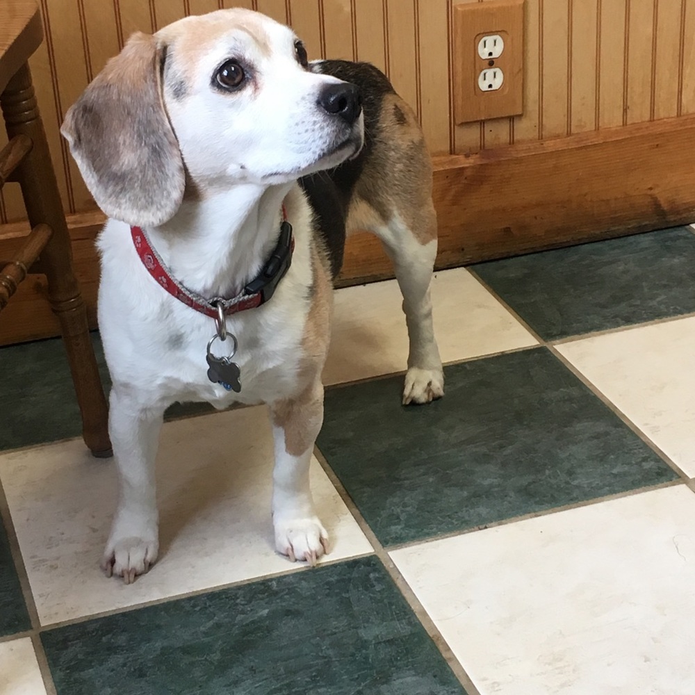 Meet your Posher, Robert